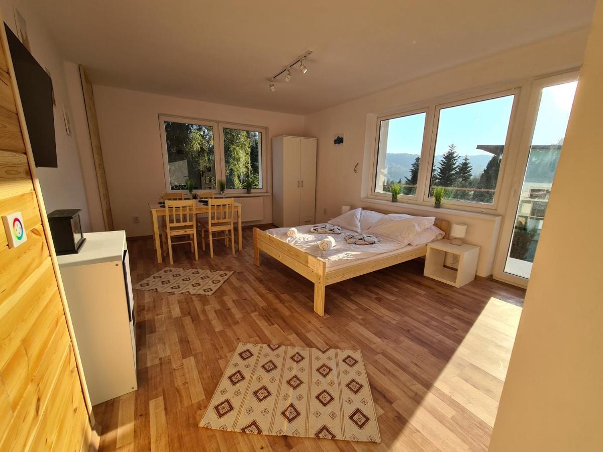 Apartamenty Willa Naskarpie Jacuzzi Sauna Basen Weichsel Exterior foto