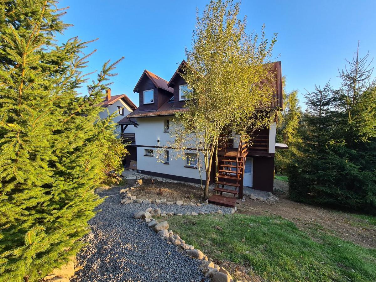 Apartamenty Willa Naskarpie Jacuzzi Sauna Basen Weichsel Exterior foto
