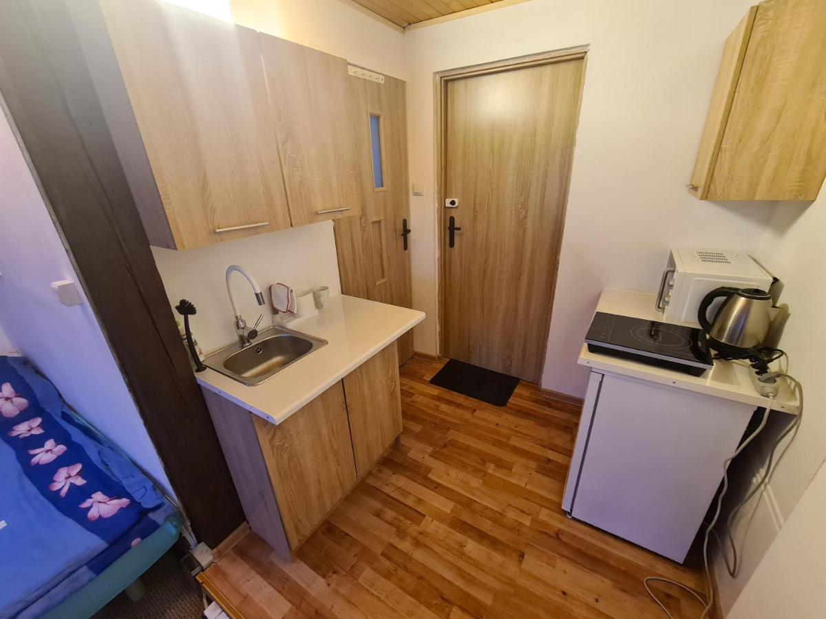 Apartamenty Willa Naskarpie Jacuzzi Sauna Basen Weichsel Exterior foto